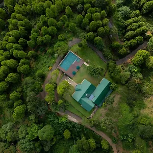 Simpson's Forest - Luxury Boutique & - Hotel